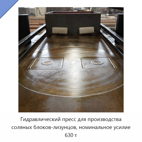 Гидравлический пресс для производства соляных блоков-лизунцов, номинальное усилие 630 т