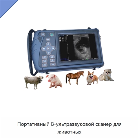 Портативный B-ультразвуковой сканер для животных