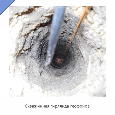 Скважинная гирлянда геофонов