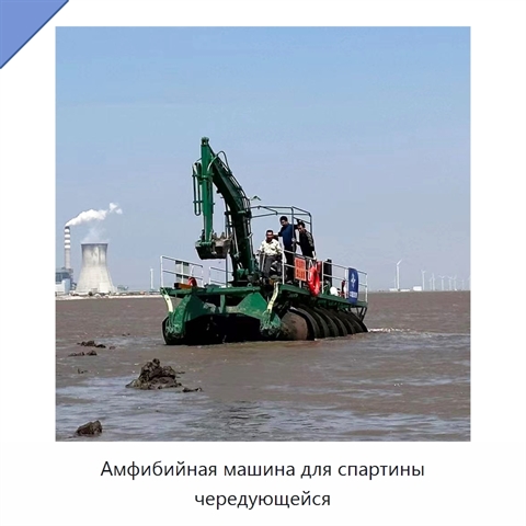 Амфибийная машина для спартины чередующейся