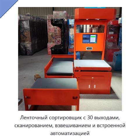 Ленточный сортировщик с 30 выходами, сканированием, взвешиванием и встроенной автоматизацией