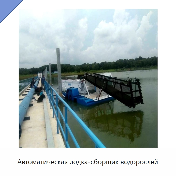 Автоматическая лодка-сборщик водорослей — Лодки и суда