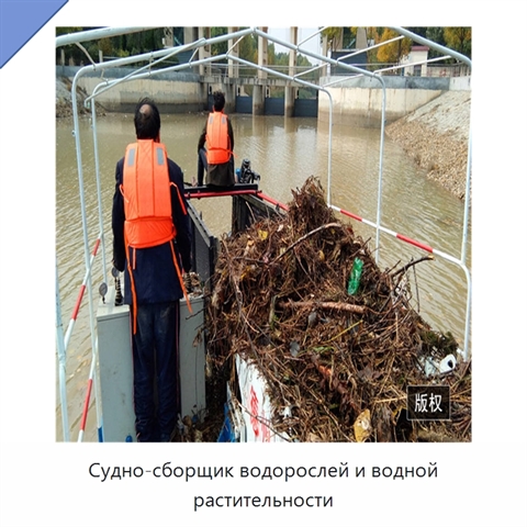 Судно-сборщик водорослей и водной растительности