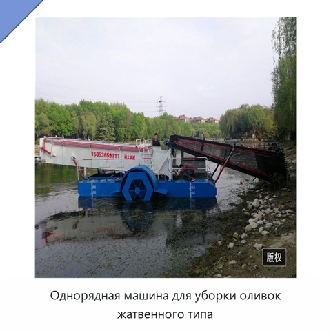 Однорядная машина для уборки оливок жатвенного типа