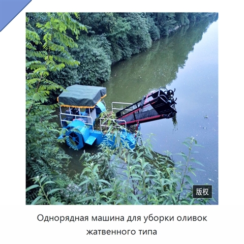 Однорядная машина для уборки оливок жатвенного типа