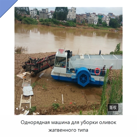 Однорядная машина для уборки оливок жатвенного типа