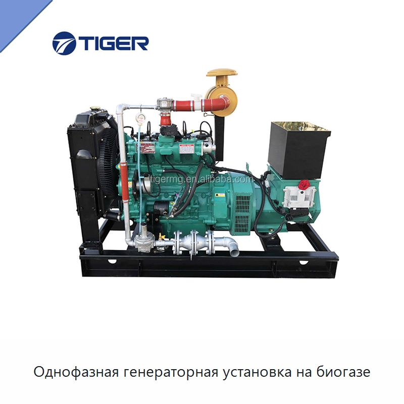 Однофазная генераторная установка на биогазе — Газотурбинные генераторы