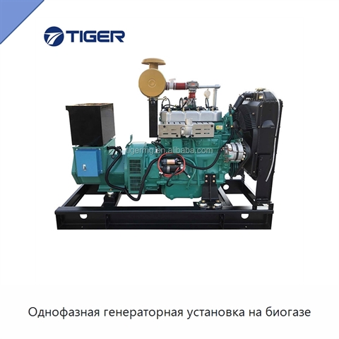 Однофазная генераторная установка на биогазе