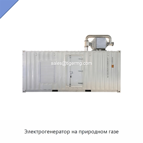 Электрогенератор на природном газе