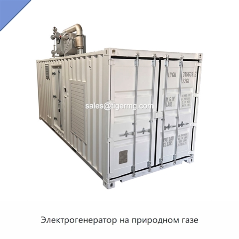 Электрогенератор на природном газе
