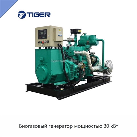 Биогазовый генератор мощностью 30 кВт
