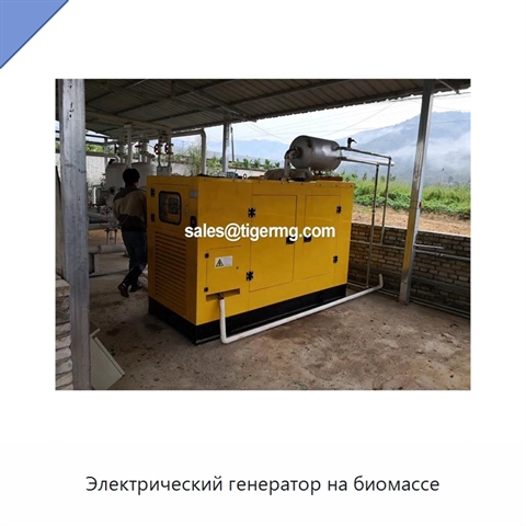 Электрический генератор на биомассе