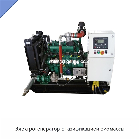 Электрогенератор с газификацией биомассы