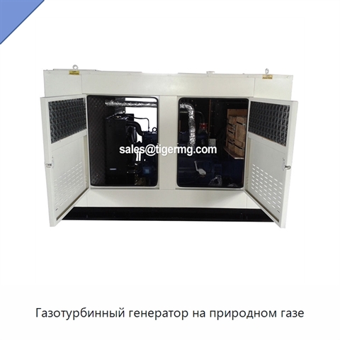 Газотурбинный генератор на природном газе