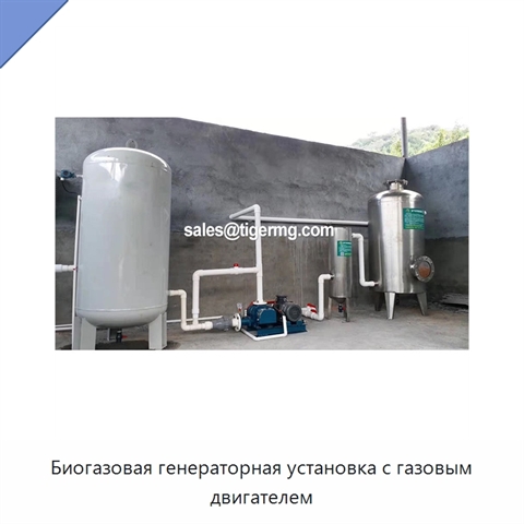 Биогазовая генераторная установка с газовым двигателем