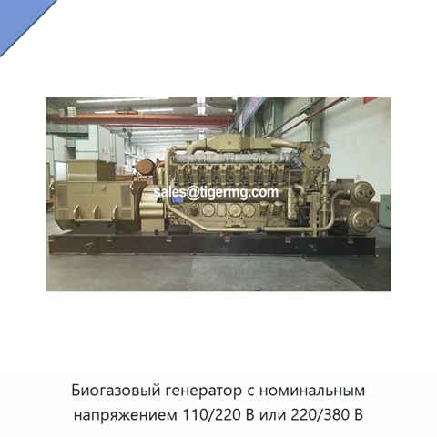 Биогазовый генератор с номинальным напряжением 110/220 В или 220/380 В