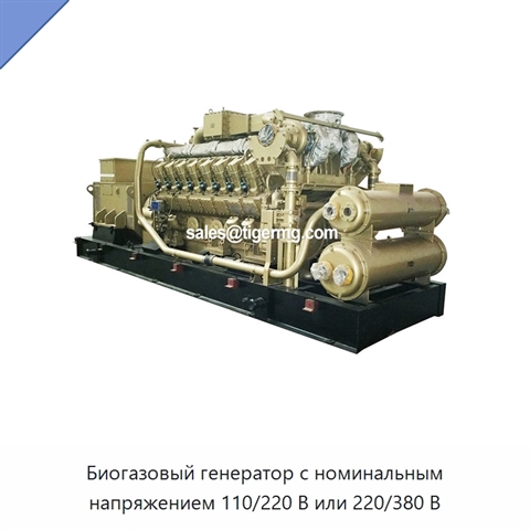 Биогазовый генератор с номинальным напряжением 110/220 В или 220/380 В