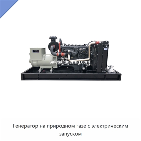 Генератор на природном газе с электрическим запуском