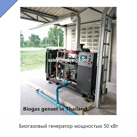 Биогазовый генератор мощностью 50 кВт