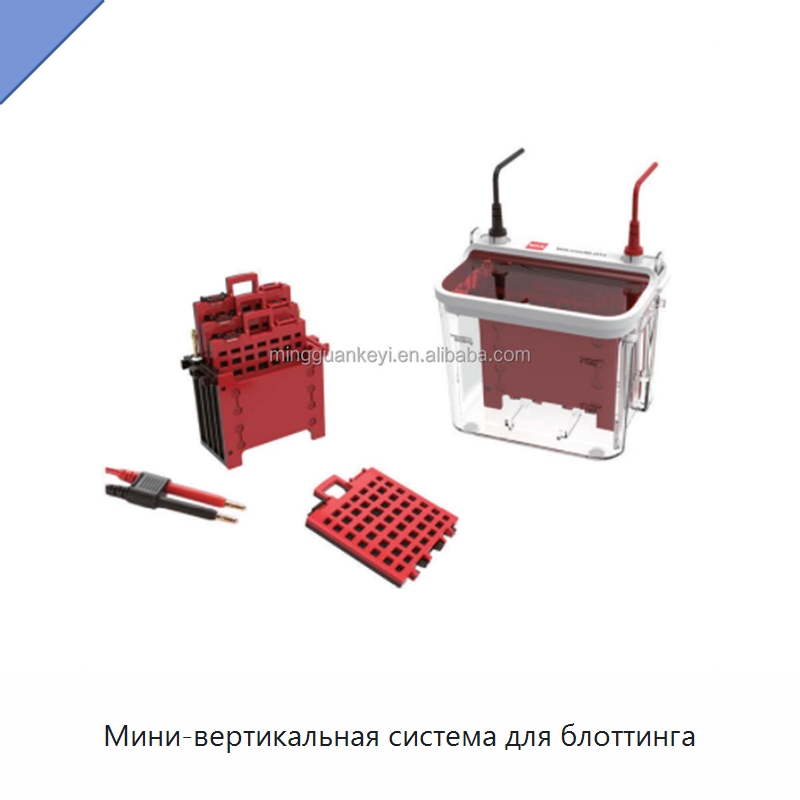 Мини-вертикальная система для блоттинга — Лабораторное сушильное оборудование