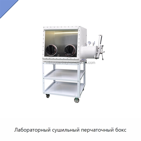 Лабораторный сушильный перчаточный бокс