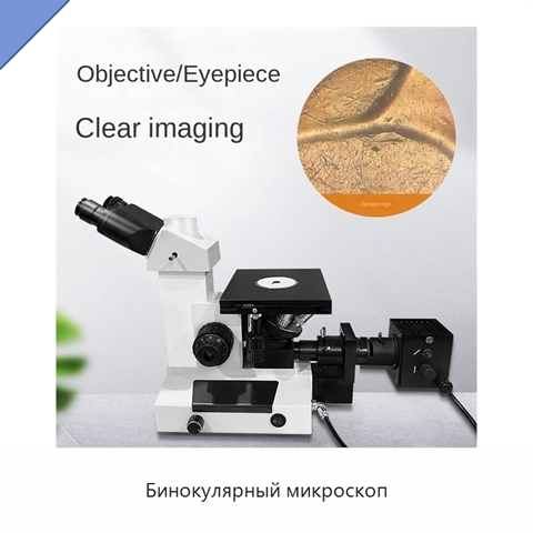 Бинокулярный микроскоп