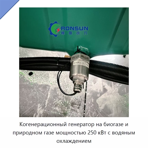 Когенерационный генератор на биогазе и природном газе мощностью 250 кВт с водяным охлаждением