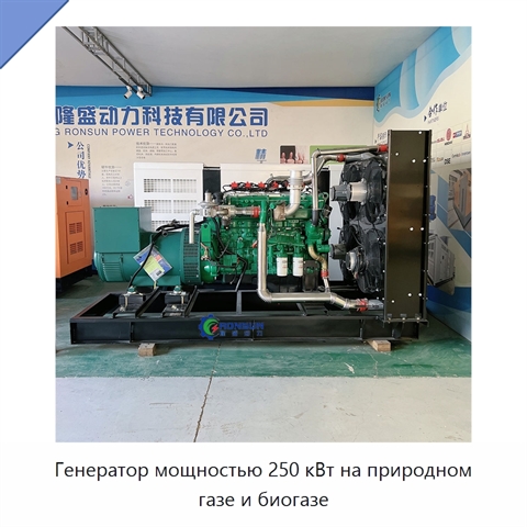 Генератор мощностью 250 кВт на природном газе и биогазе