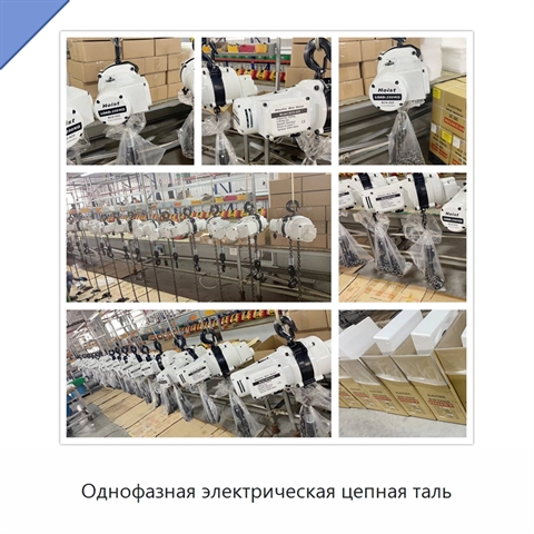 Однофазная электрическая цепная таль