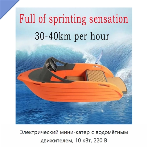 Электрический мини-катер с водомётным движителем, 10 кВт, 220 В