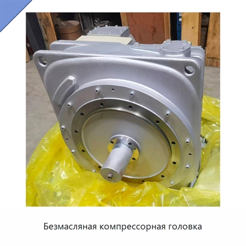 Безмасляная компрессорная головка